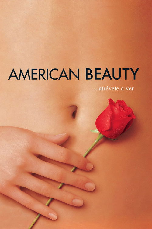 American Beauty Poster