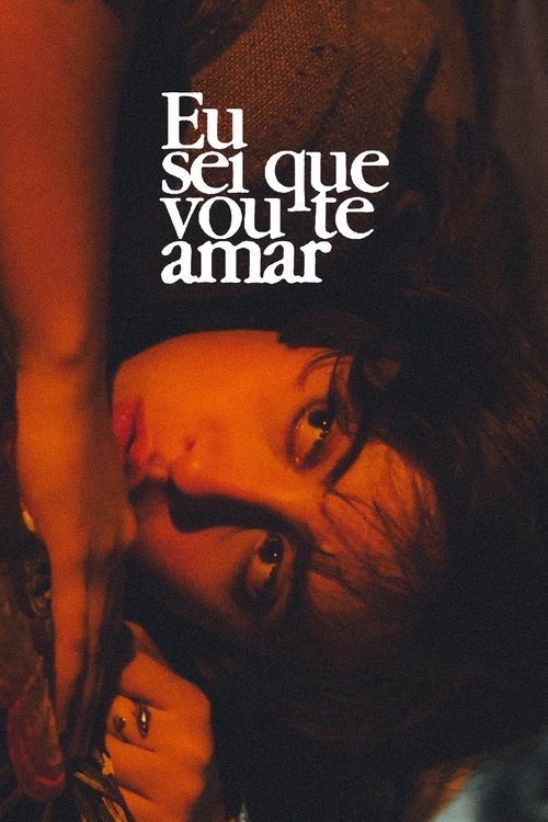 Eu sei que vou te amar poster