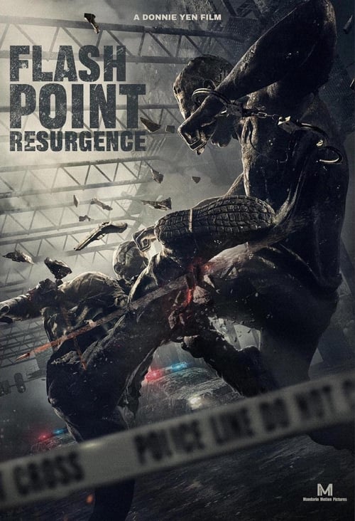 Flash Point Resurgence Poster