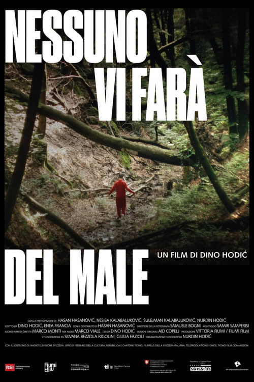 No One Will Hurt You