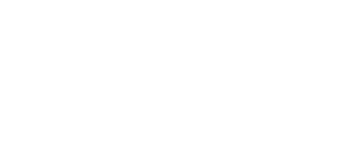 MEET THE FOCKERS Logo