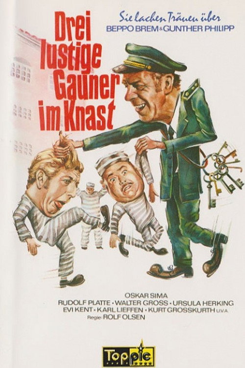 Verrückt und zugenäht poster 2