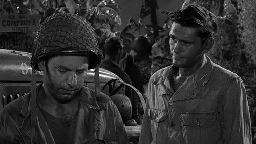 The Purple Testament