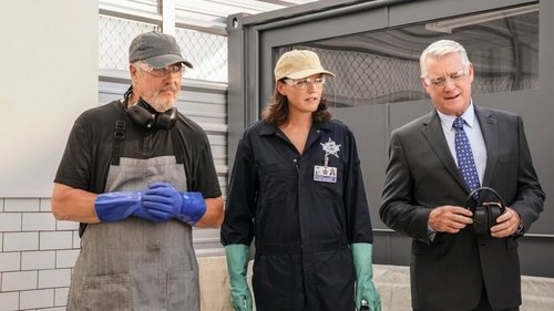 CSI: Vegas - 8. Bölüm