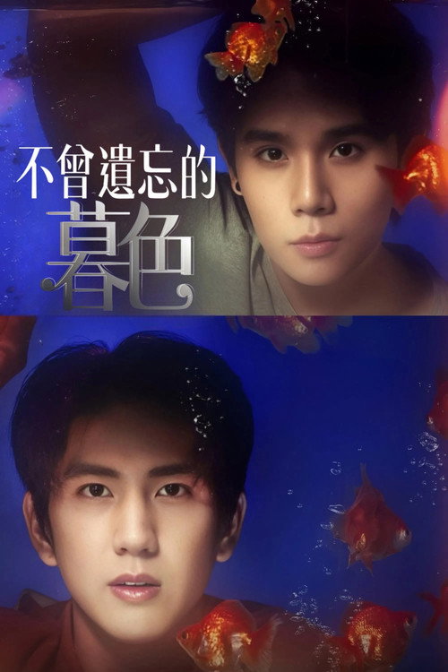 不曾遗忘的暮色电影海报