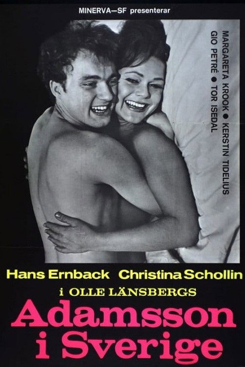 Adam in Sweden poster 2