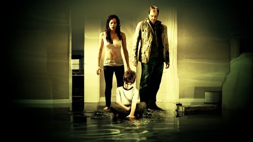 Riflessi di paura (2008) film completo