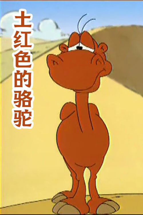 土红色的骆驼电影海报