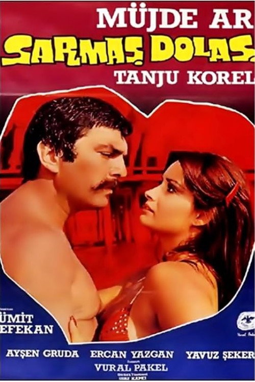 Sarmaş Dolaş poster 2