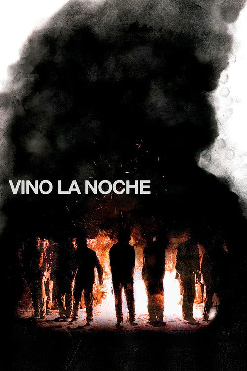 Vino la noche电影海报