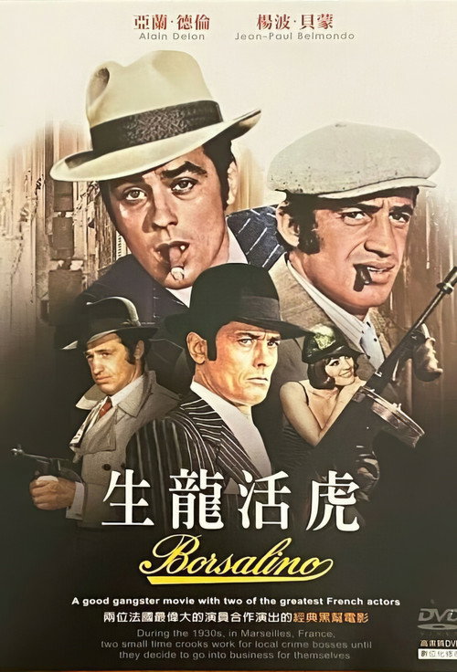 江湖龙虎电影海报