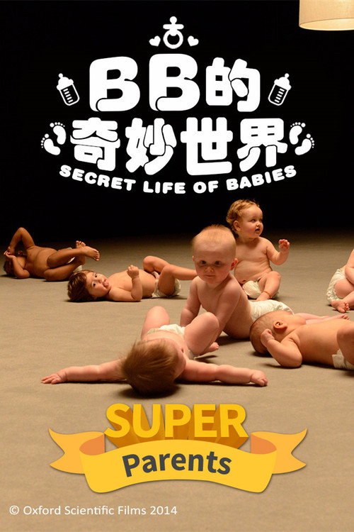 婴儿的秘密生活电影海报