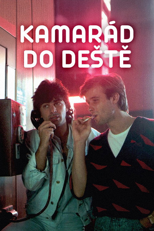 Kamarád do deště poster 2