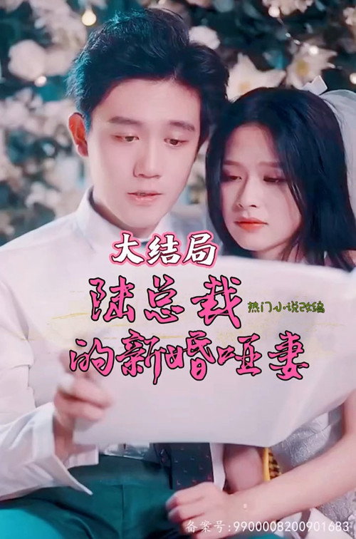 陆总裁的新婚哑妻电影海报
