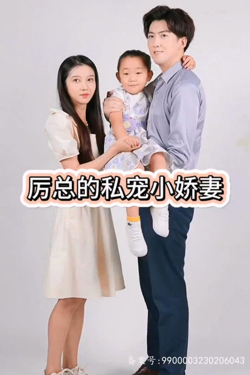 历总的私密小娇妻电影海报