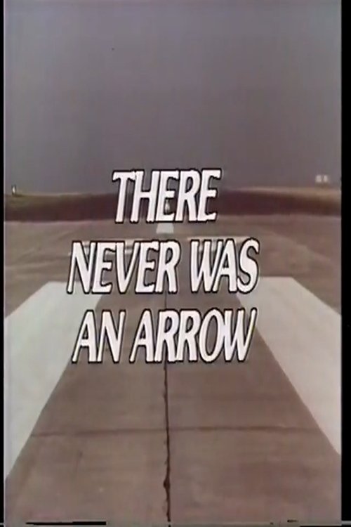 There Never Was an Arrow Poster
