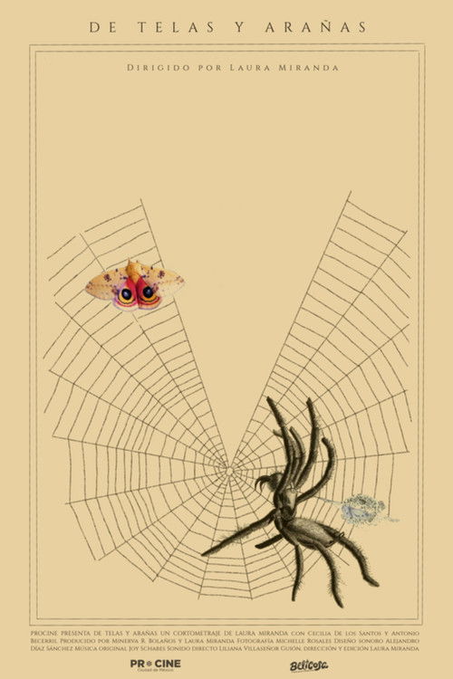 Of Webs and Spiders