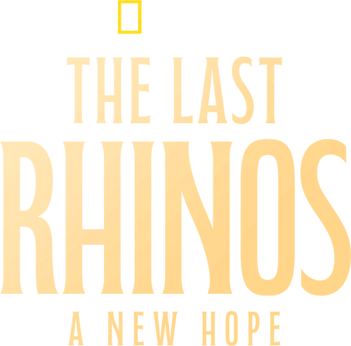 movies