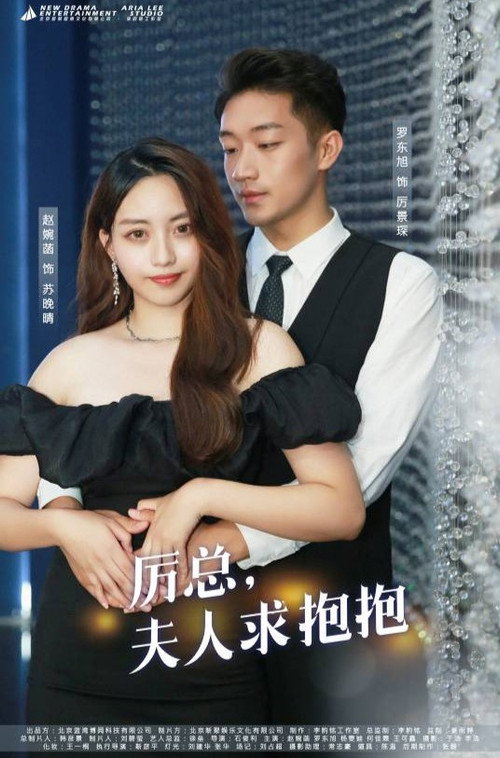 厉总，夫人求抱抱电影海报