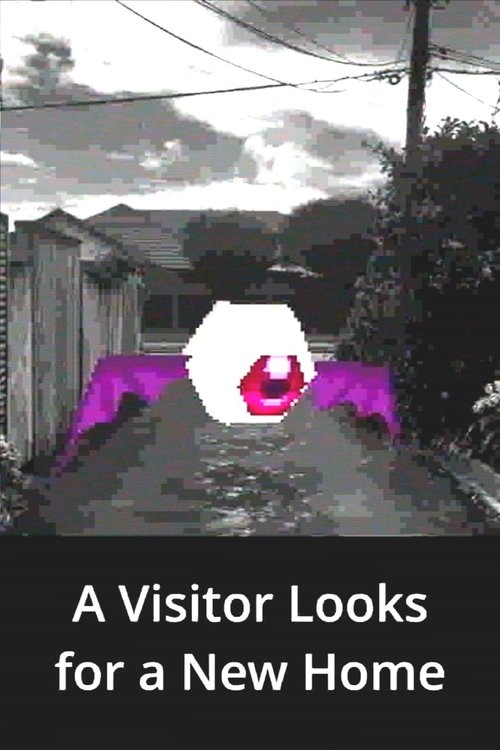 A+Visitor+Looks+for+a+New+Home