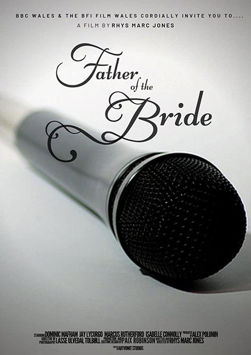 Father of the Bride poster 3