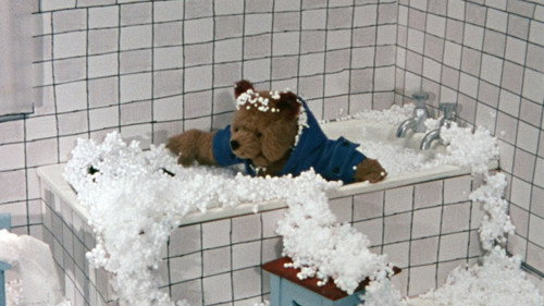 A Bear in Hot Water