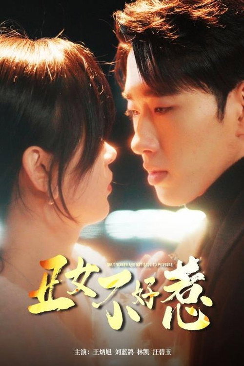 丑女不好惹电影海报