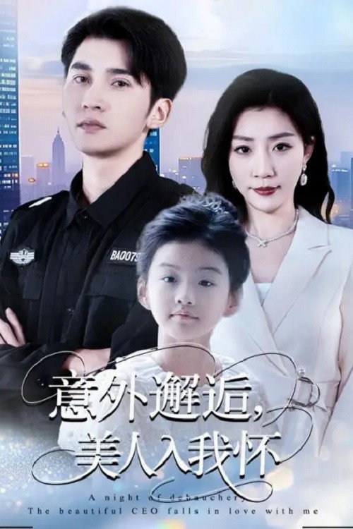 意外邂逅，美人入我怀电影海报