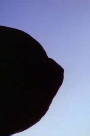 the buoyancy of citrus (2020) Watch Full HD Movie Streaming Online in
HD-720p Video Quality