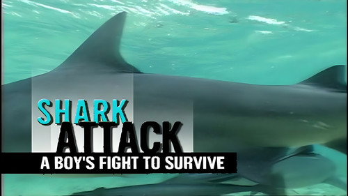 Shark Attack: A Boy's Fight to Survive