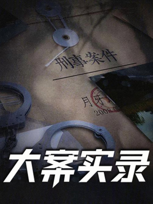大案实录电影海报