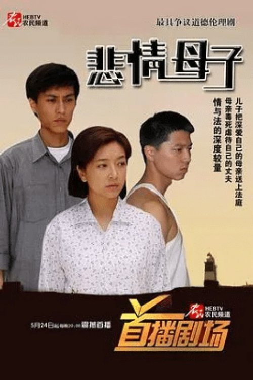 悲情母子电影海报