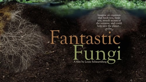 Fantastic Fungi (2019) ดูการสตรีมภาพยนตร์แบบเต็มออนไลน์