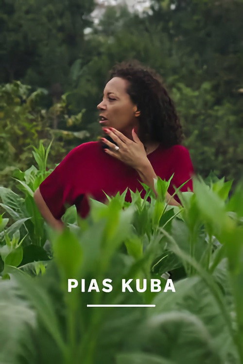 Pias Kuba电影海报