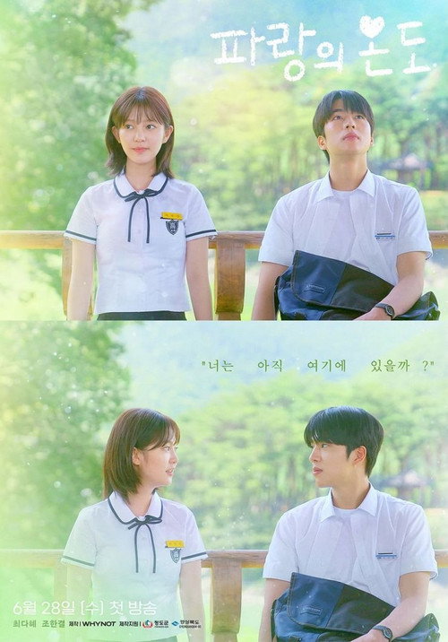 파랑의 온도电影海报