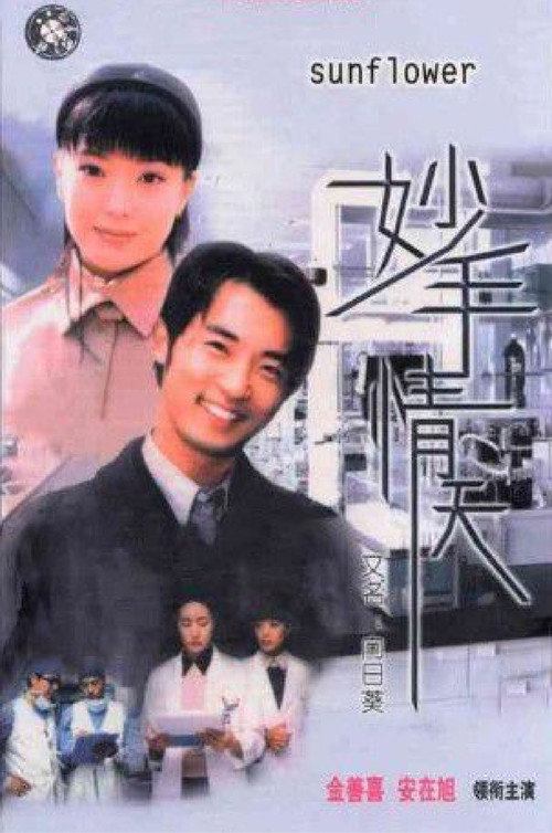 妙手情天电影海报