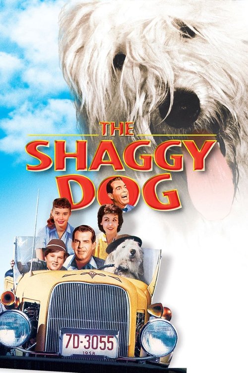 The+Shaggy+Dog