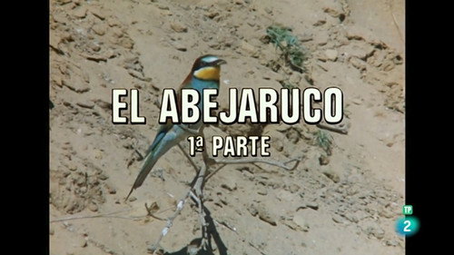The Bee-eater I