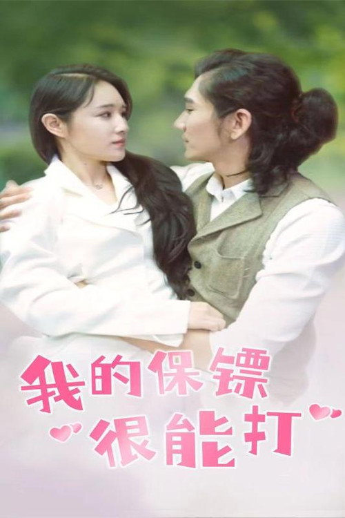 我的保镖很能打电影海报