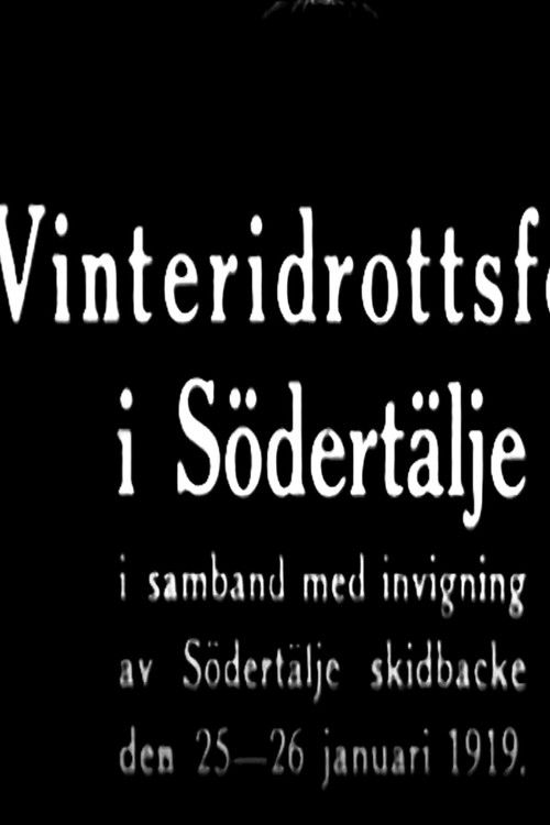 Winter Sports Party in Södertälje Poster