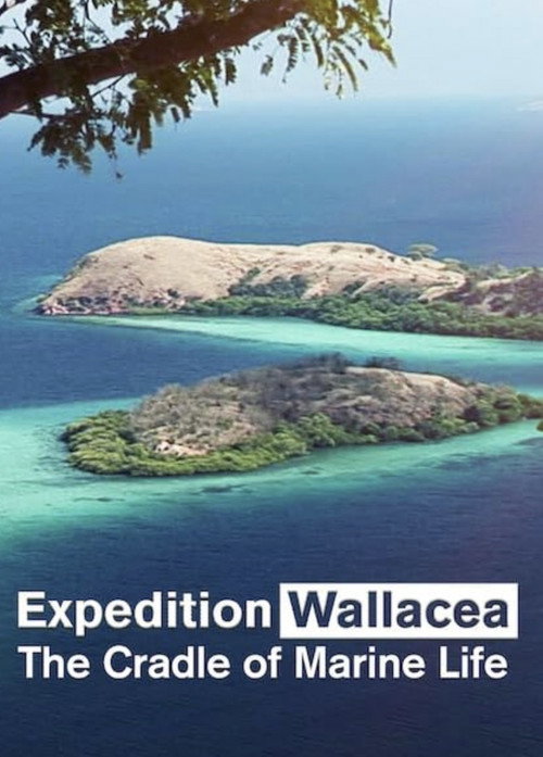 Expedition Wallacea – The Cradle of Marine Life