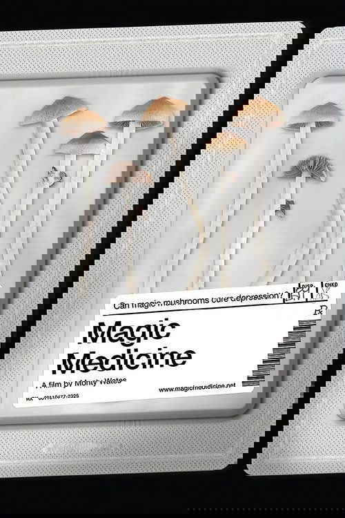 Poster of Magic Medicine