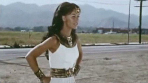 The Hitchhiker