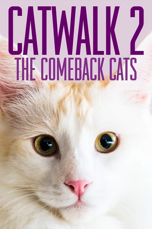 Catwalk+2%3A+The+Comeback+Cats