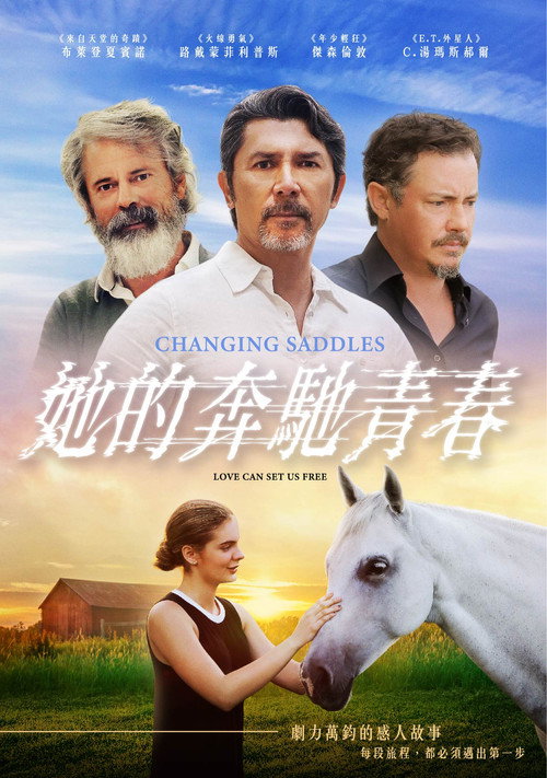 城乡抉择电影海报