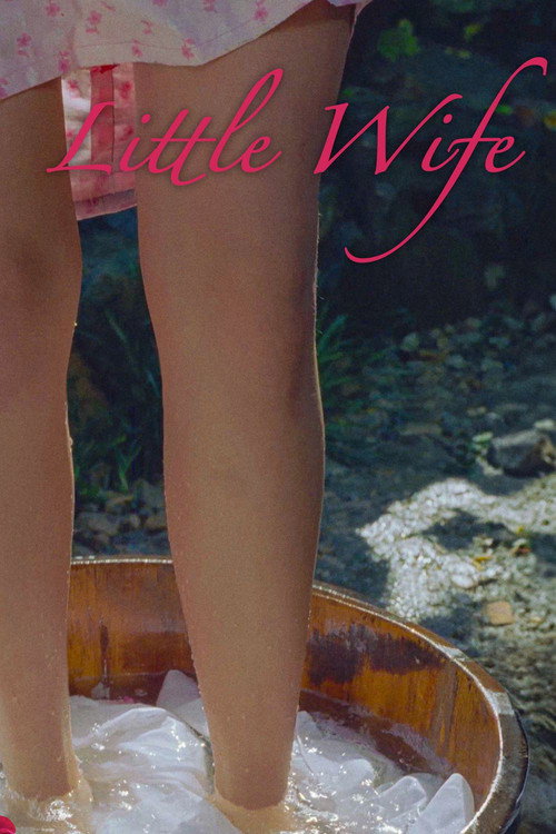 Little Wife Poster