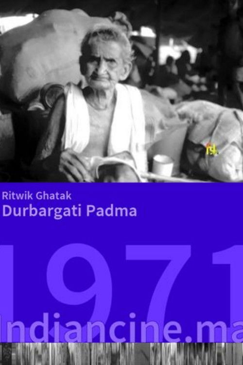 Where the River Padma Flows