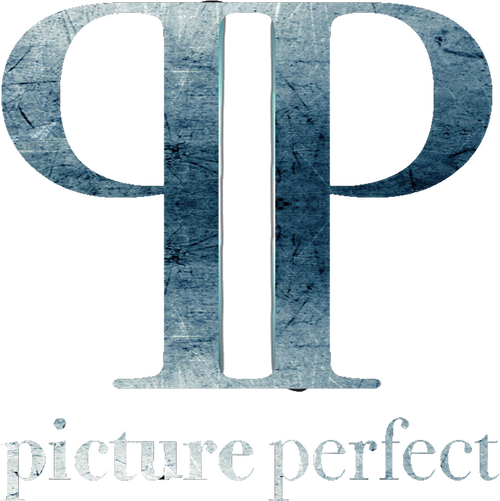 Picture Perfect Logo