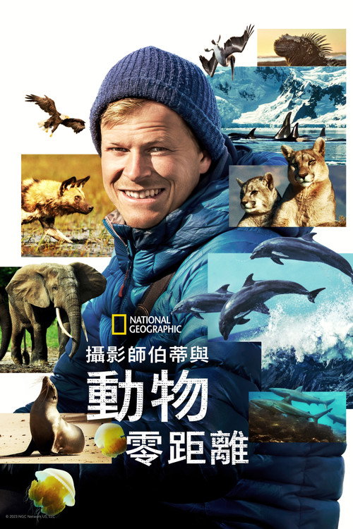贝尔蒂&middot;格雷戈里：与动物零距离电影海报
