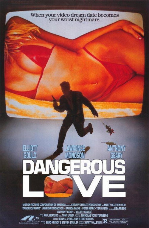 Dangerous Love poster 2